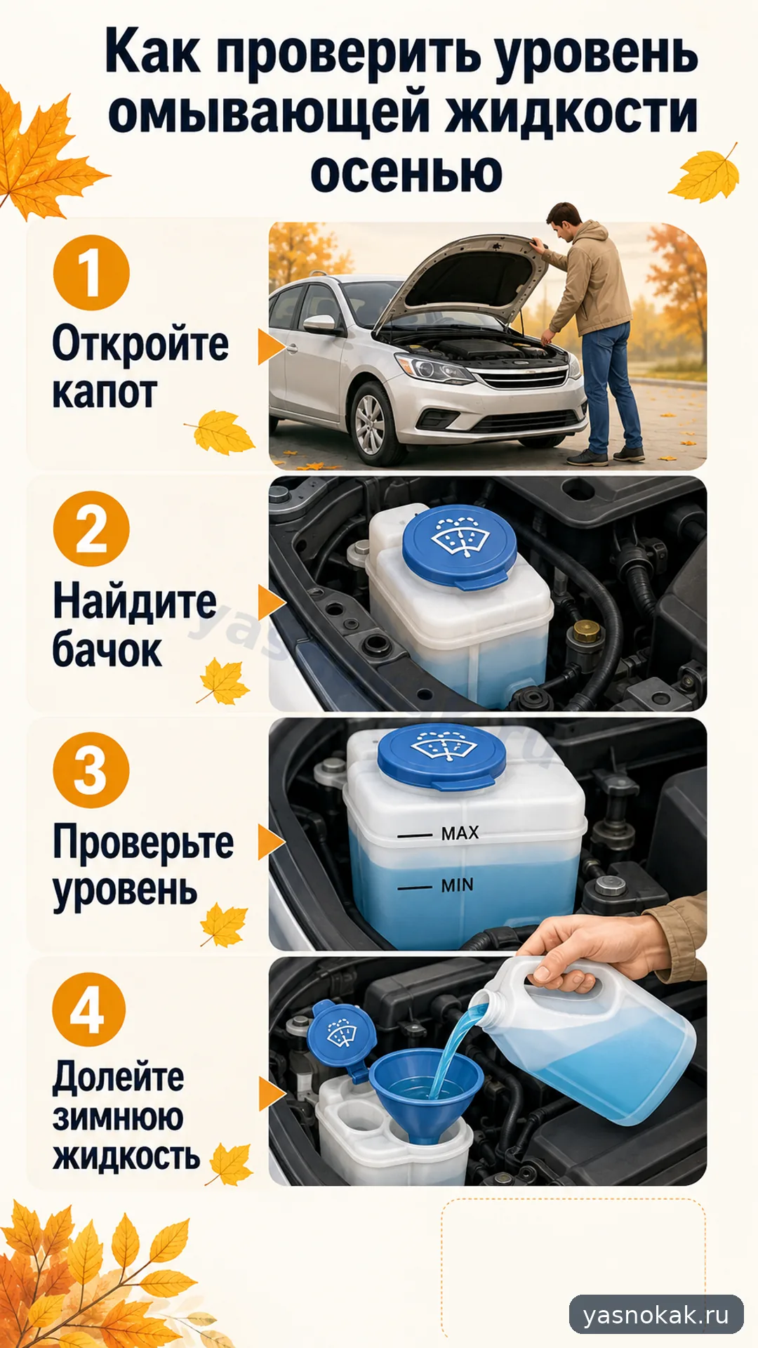 Схема: Как проверить уровень омывающей жидкости осенью