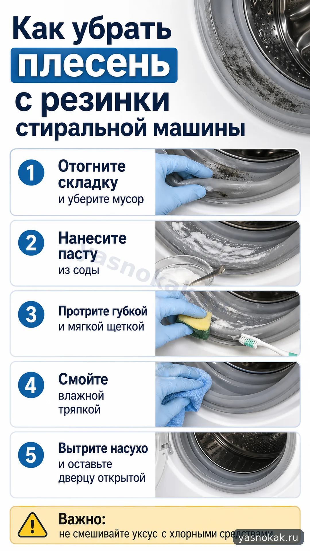 Схема: Как убрать плесень с резинки стиральной машины