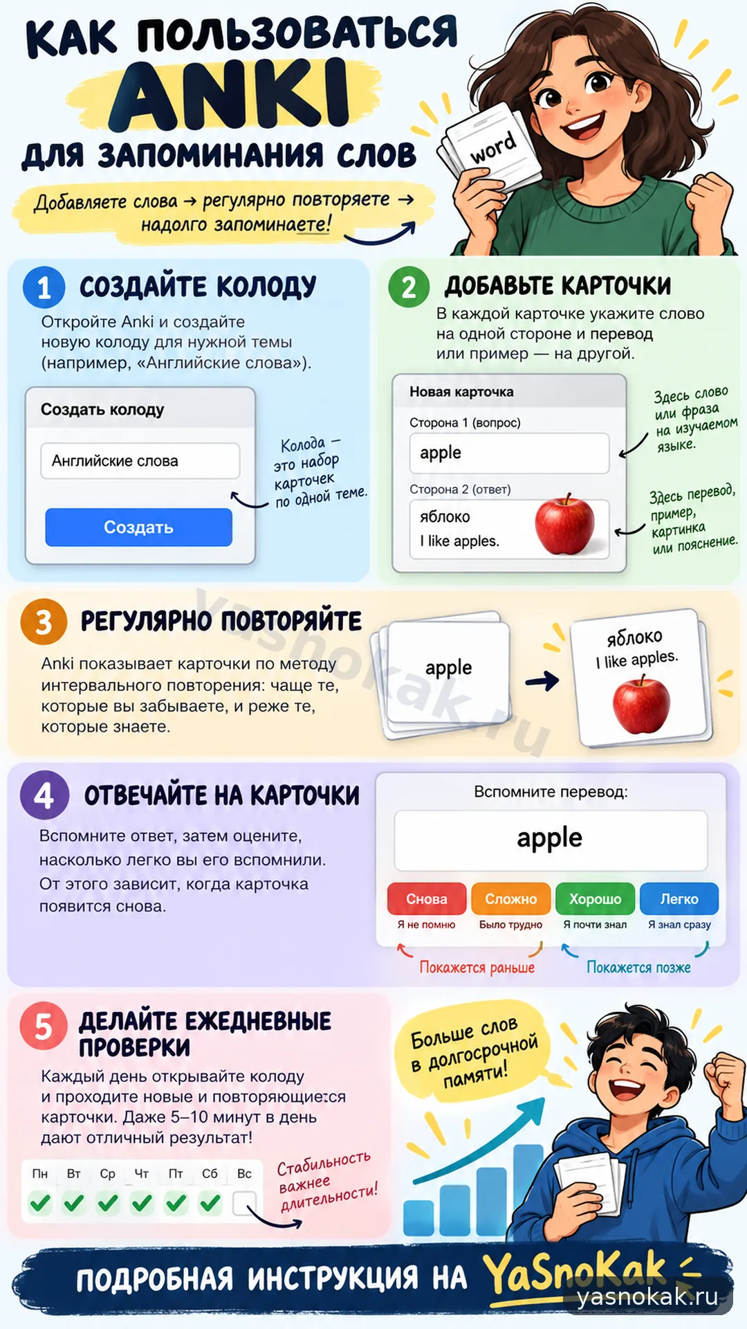 Схема: Пользуйтесь Anki для запоминания слов